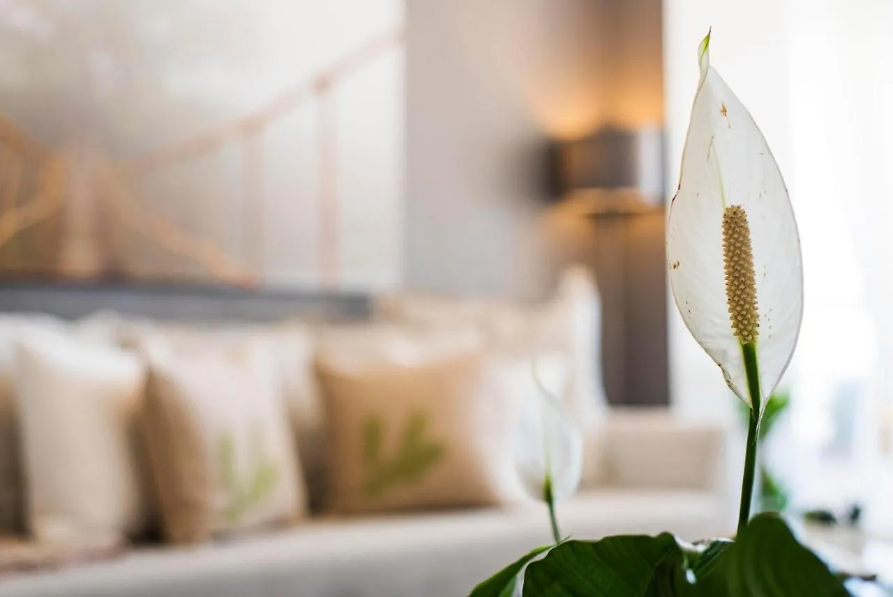 Wonderful apartment in Puerto Marina Benalmádena Spagna